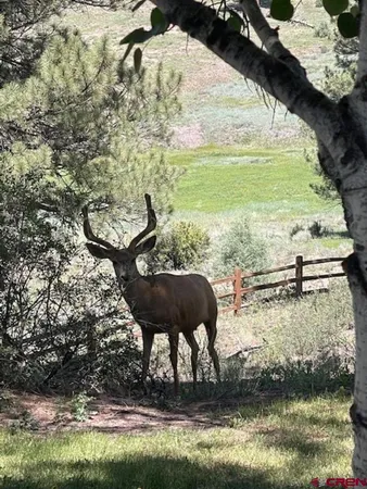 $4,800,000 | 2635 Echo Canyon Ranch Lane, Pagosa Springs, CO 81147