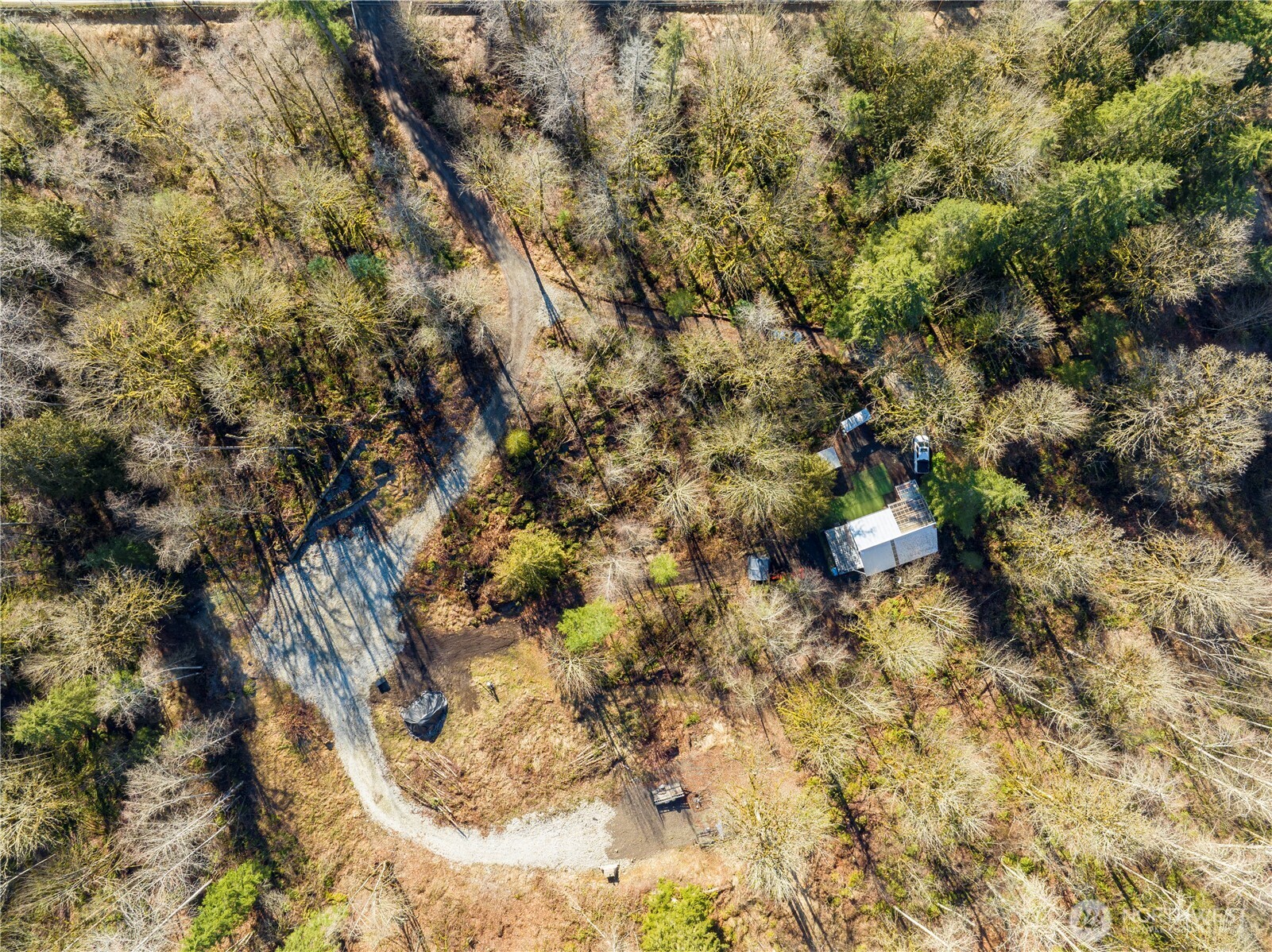 13620 Kelly Road Northeast Duvall, WA 98019 - Photo 13 of 28 a view of a yard of a house