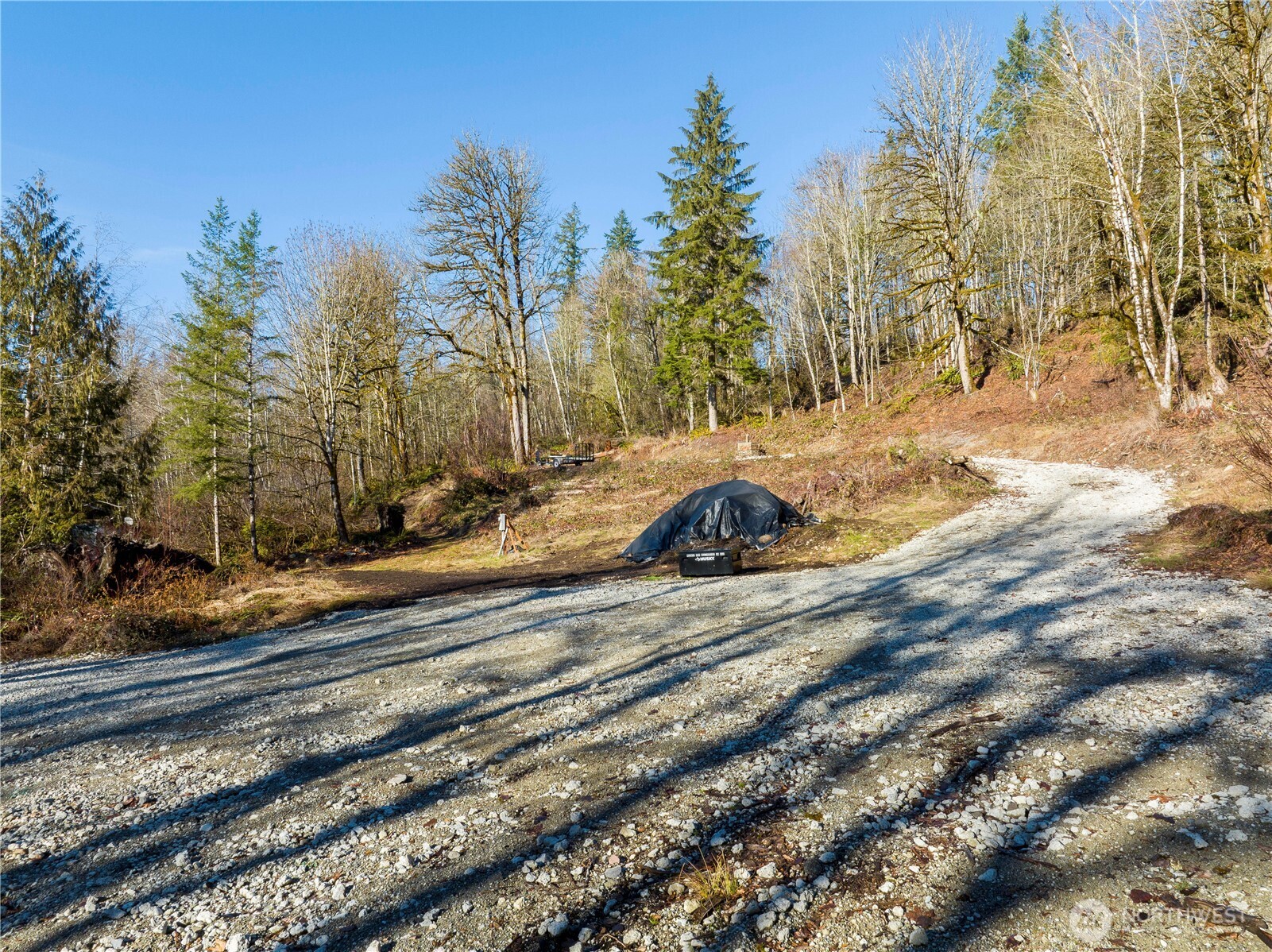 13620 Kelly Road Northeast Duvall, WA 98019 - Photo 3 of 28 a view of a backyard of the house