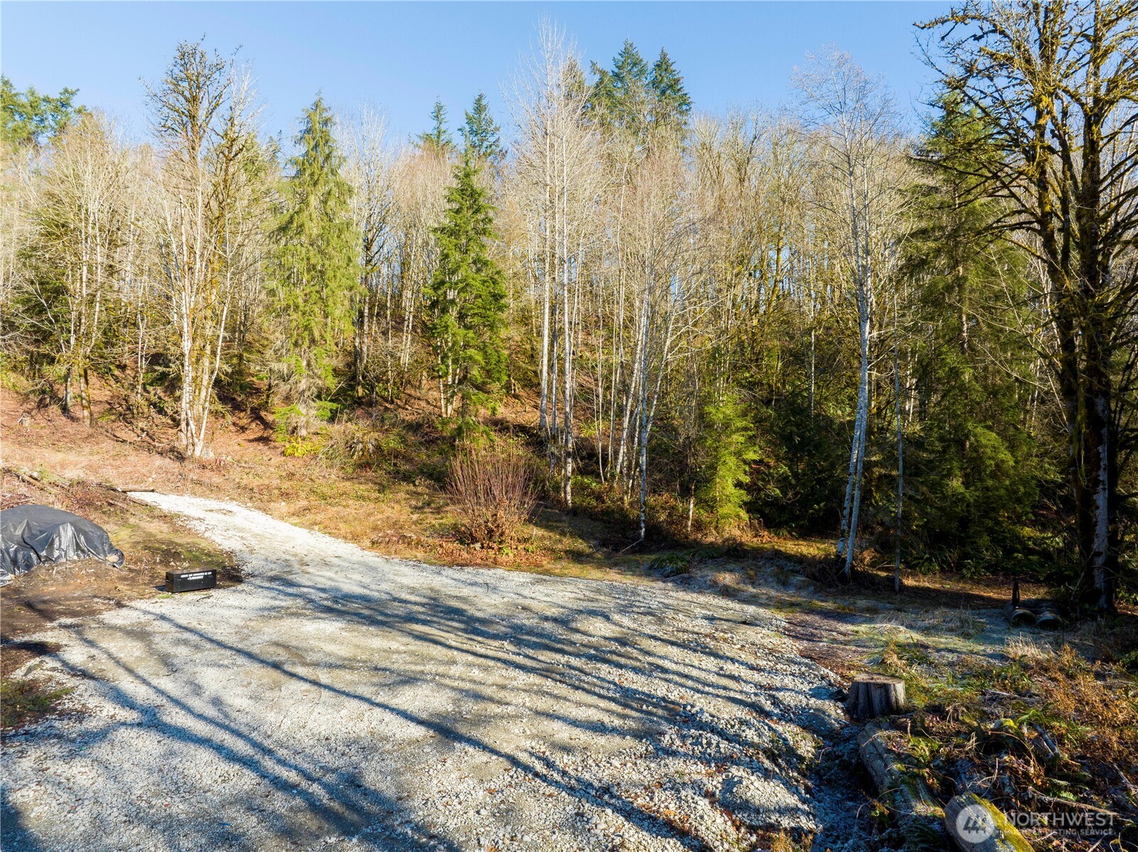 13620 Kelly Road Northeast Duvall, WA 98019 - Photo 8 of 28 a view of a backyard of the house