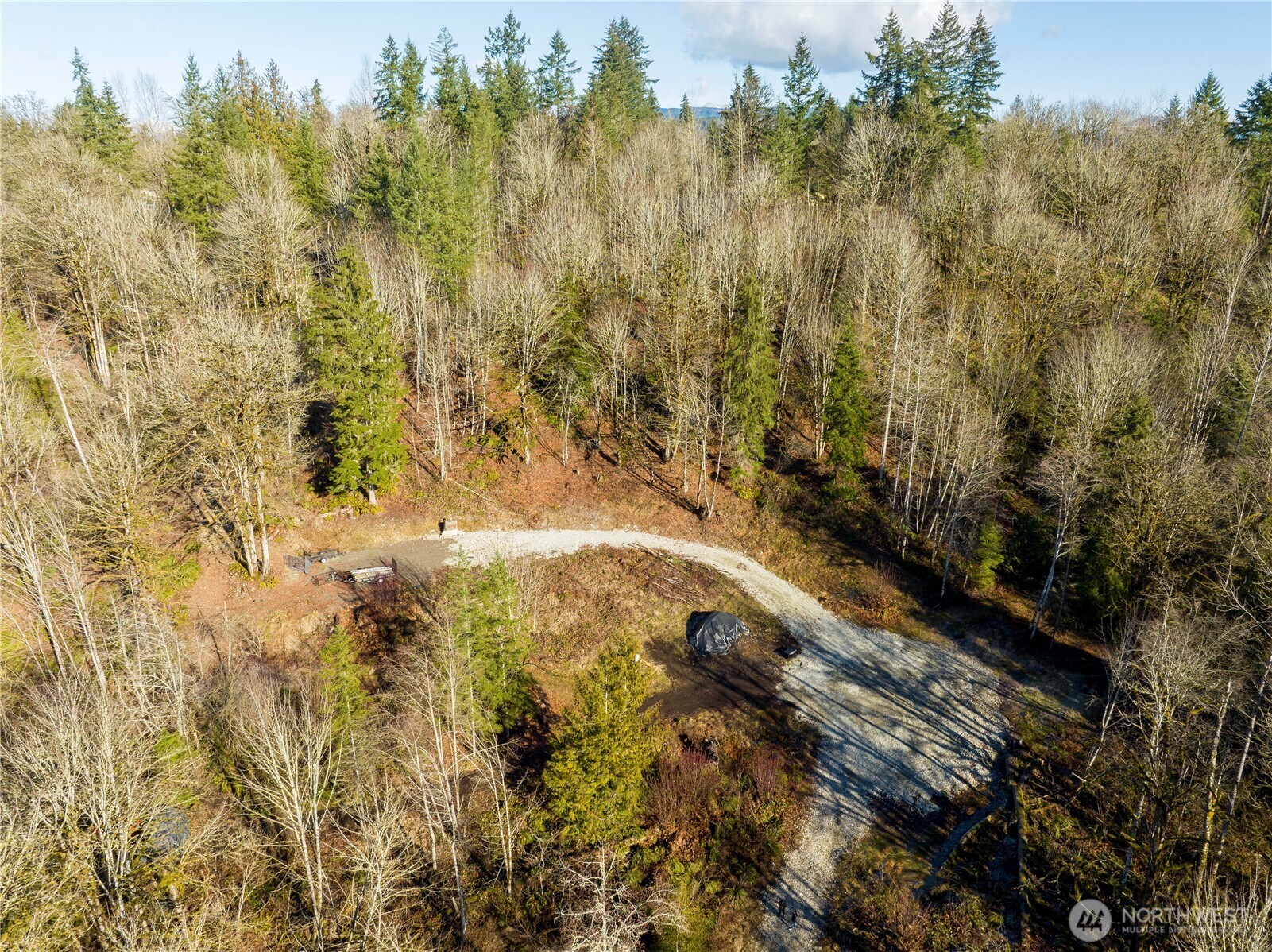 13620 Kelly Road Northeast Duvall, WA 98019 - Photo 10 of 28 a view of a yard with trees