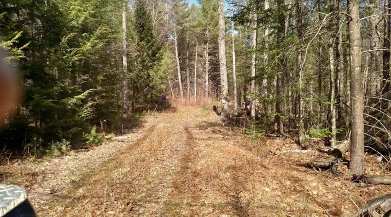 135 Corson Road Newfield, ME 04095 - Photo 2 of 6