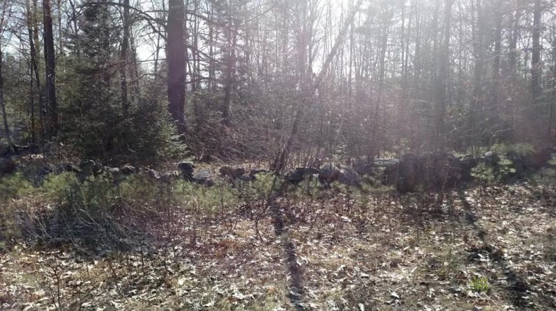 135 Corson Road Newfield, ME 04095 - Photo 3 of 6