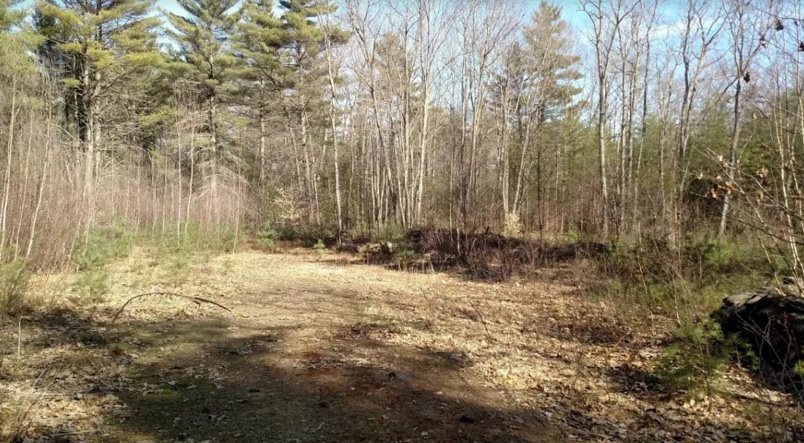 135 Corson Road Newfield, ME 04095 - Photo 5 of 6