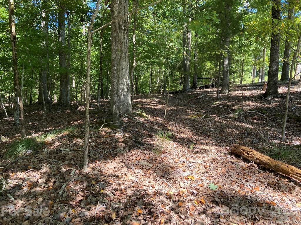 5918 Kiowa Road, Unit 10 Clover, SC 29710 - Photo 4 of 8 a view of a forest with trees