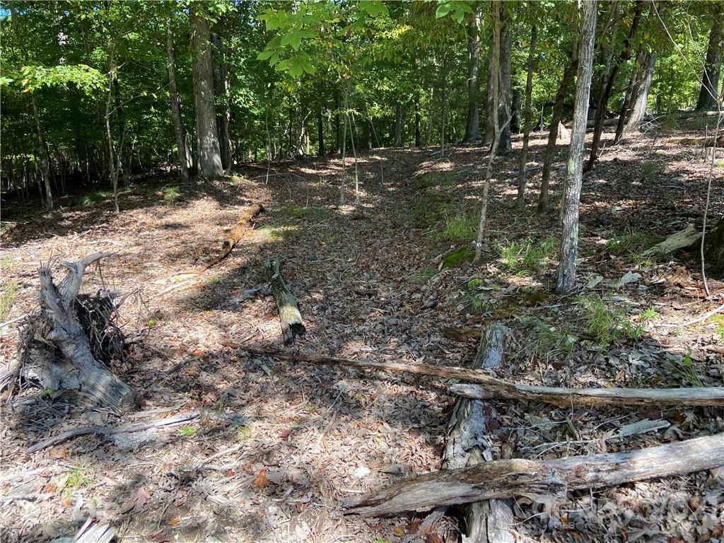 5918 Kiowa Road, Unit 10 Clover, SC 29710 - Photo 5 of 8 a view of a forest with trees