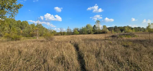 $39,900 | 8692 East Baseline Road, Mount Pleasant, MI 48858