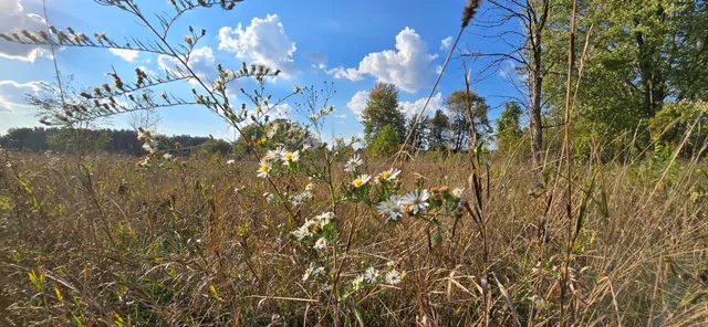 $39,900 | 8692 East Baseline Road, Mount Pleasant, MI 48858