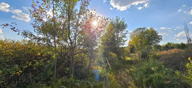 $39,900 | 8692 East Baseline Road, Mount Pleasant, MI 48858