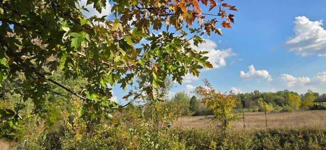 $39,900 | 8692 East Baseline Road, Mount Pleasant, MI 48858