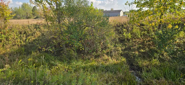 $39,900 | 8692 East Baseline Road, Mount Pleasant, MI 48858