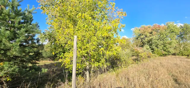 $39,900 | 8692 East Baseline Road, Mount Pleasant, MI 48858