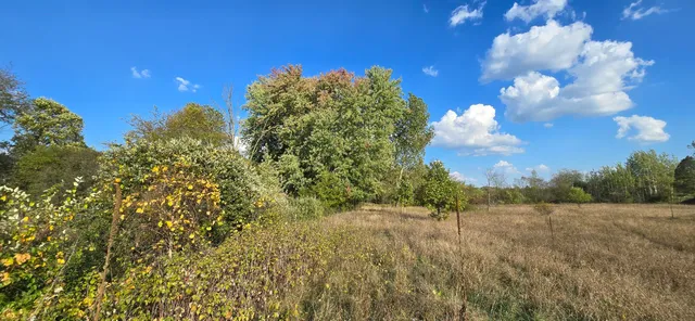 $39,900 | 8692 East Baseline Road, Mount Pleasant, MI 48858