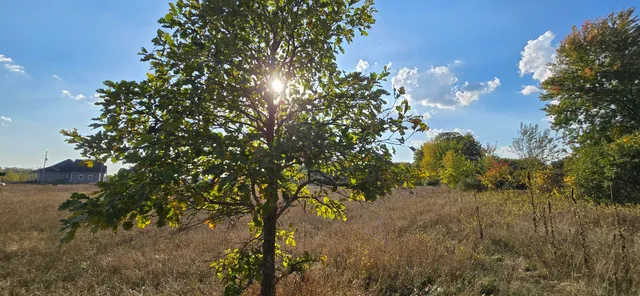 $39,900 | 8692 East Baseline Road, Mount Pleasant, MI 48858