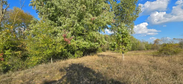 $39,900 | 8692 East Baseline Road, Mount Pleasant, MI 48858