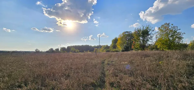 $39,900 | 8692 East Baseline Road, Mount Pleasant, MI 48858