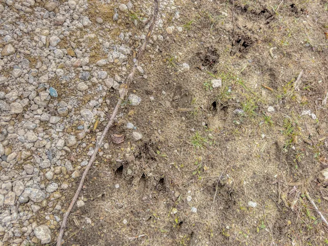 $39,900 | 8692 East Baseline Road, Mount Pleasant, MI 48858