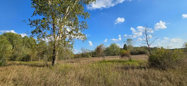 $39,900 | 8692 East Baseline Road, Mount Pleasant, MI 48858