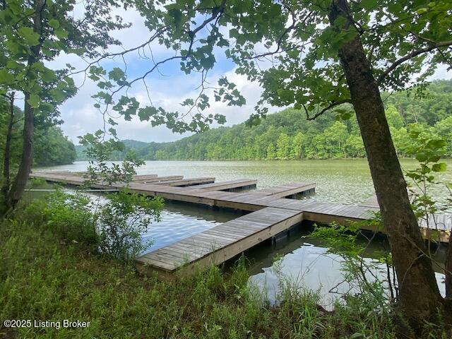 303 Conoloway Road Clarkson, KY 42726 - Photo 8 of 16 docks