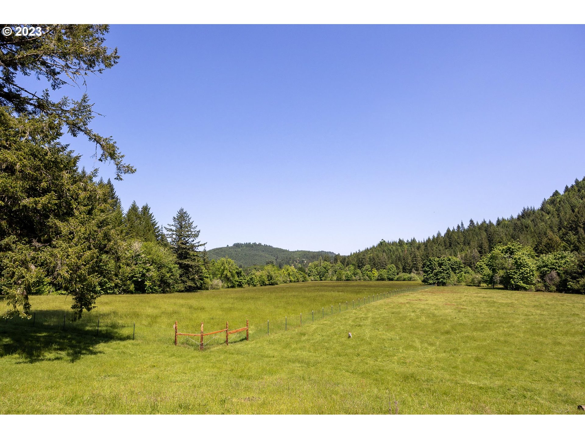 84978 Battle Creek Road Eugene, OR 97402 - Photo 29 of 47