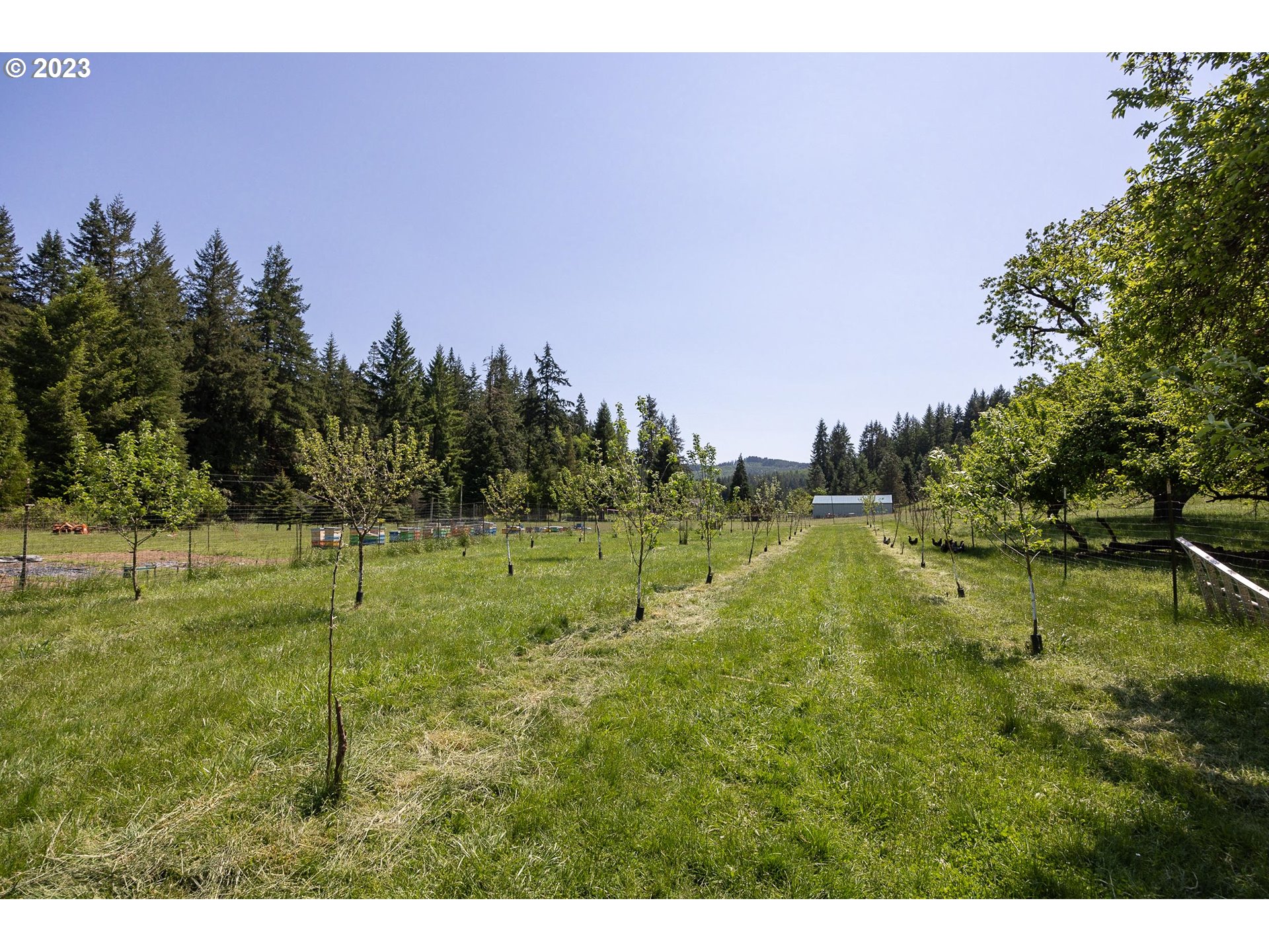 84978 Battle Creek Road Eugene, OR 97402 - Photo 38 of 47