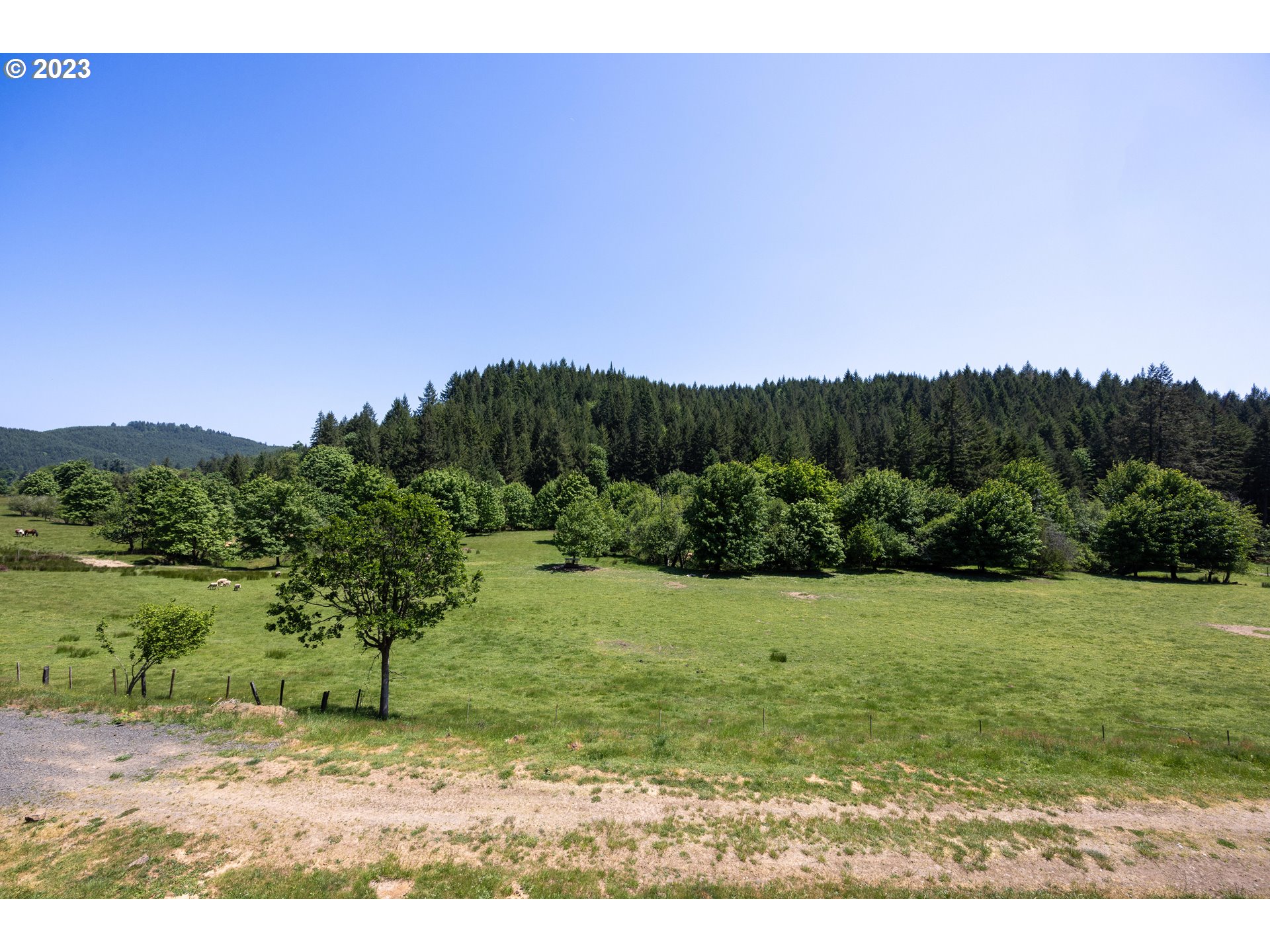 84978 Battle Creek Road Eugene, OR 97402 - Photo 40 of 47