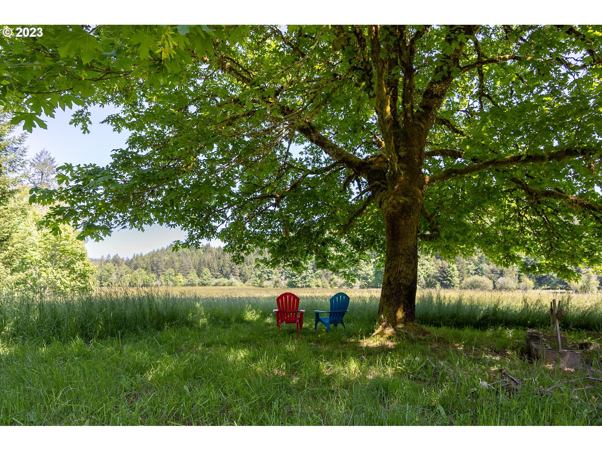 84978 Battle Creek Road Eugene, OR 97402 - Photo 4 of 47