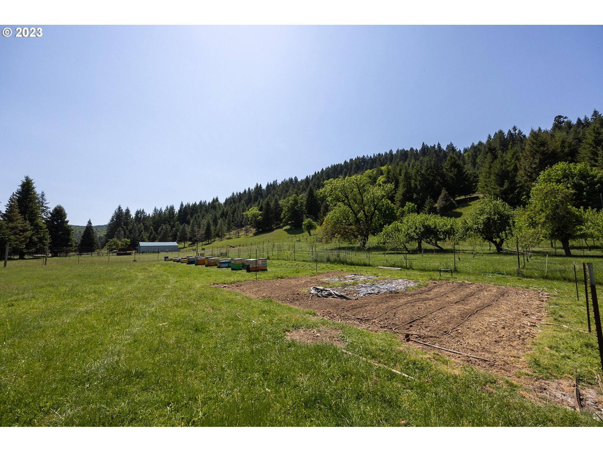 84978 Battle Creek Road Eugene, OR 97402 - Photo 43 of 47