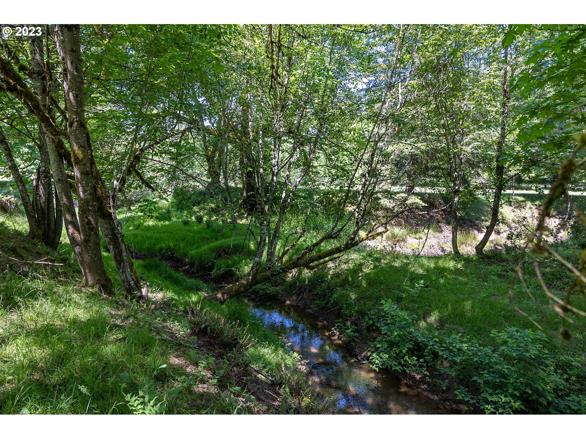 84978 Battle Creek Road Eugene, OR 97402 - Photo 5 of 47