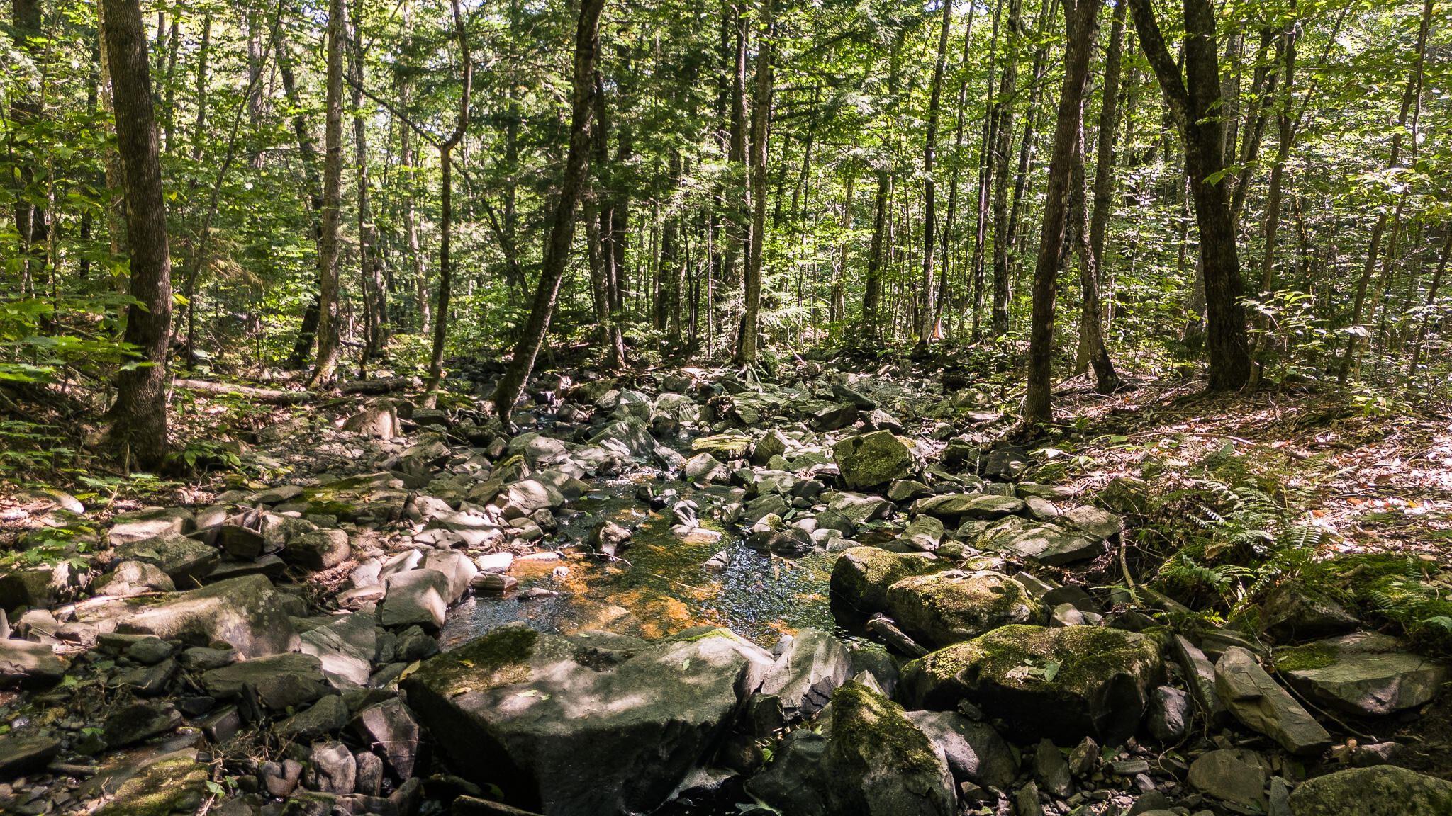 507 Mountain Road Abbot, ME 04406 - Photo 52 of 96 DJI_20240827120726_0698_D