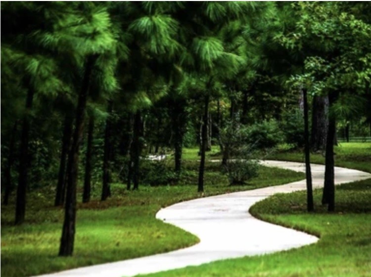 25330 Fallen Acorn Court Porter, TX 77365 - Photo 28 of 31 Jogging and Walking Trails. Also connected to the Kingwood System with a trail within walking distance.
