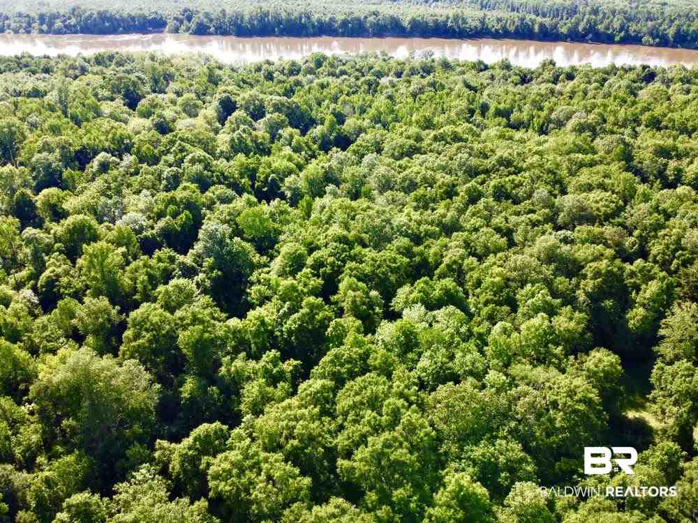 0 Country Road Uriah, AL 36480 - Photo 18 of 49