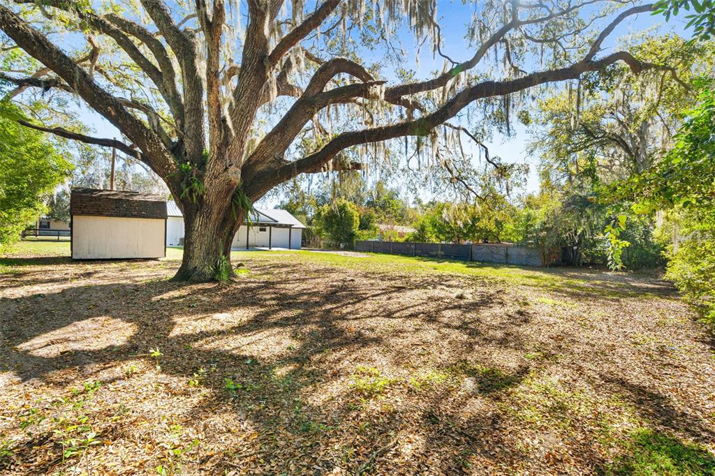 3307 Speer Road Plant City, FL 33565 - Photo 36 of 50