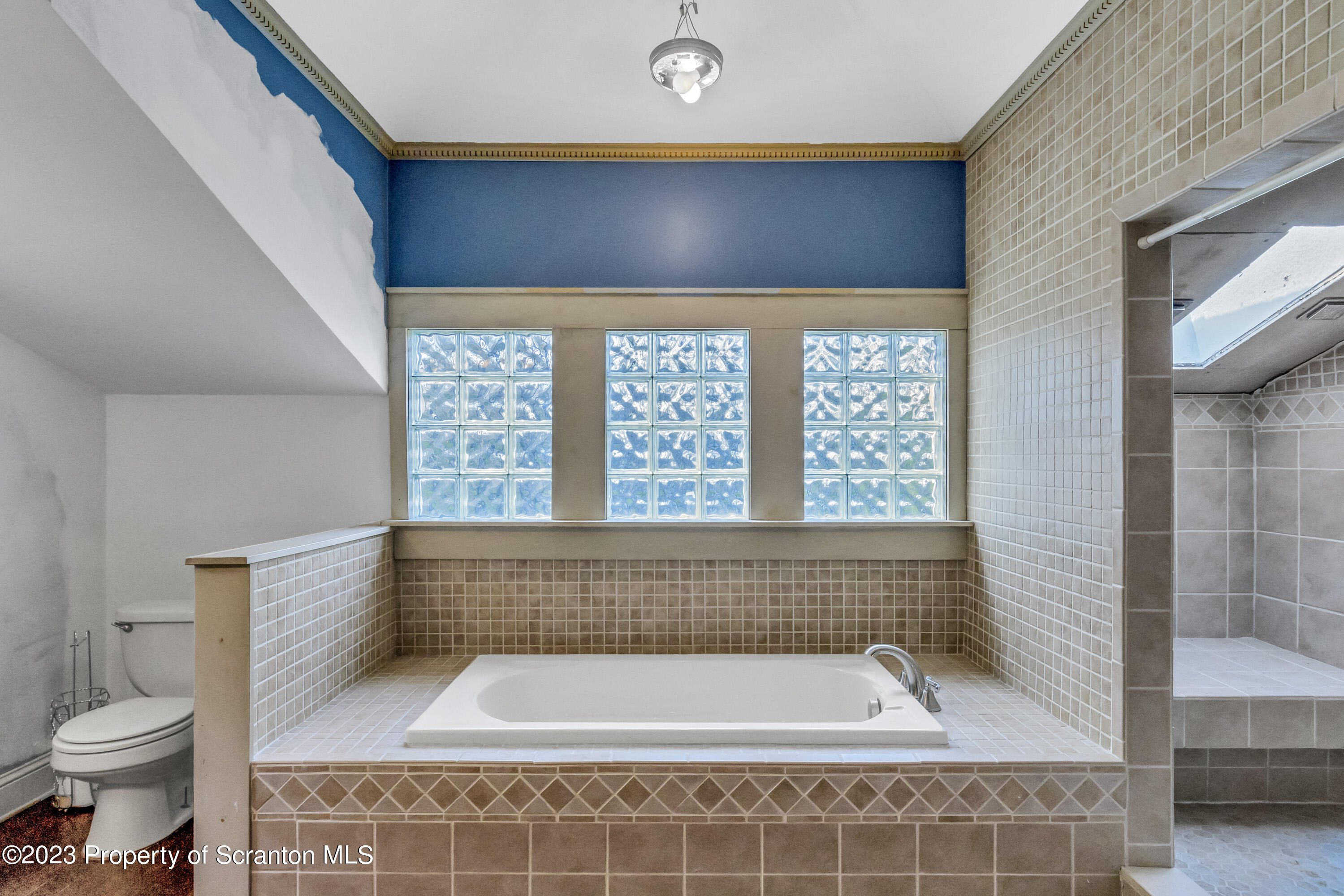 21 Ridge Street Dallas, PA 18612 - Photo 72 of 92 a bathroom with a bathtub and a toilet