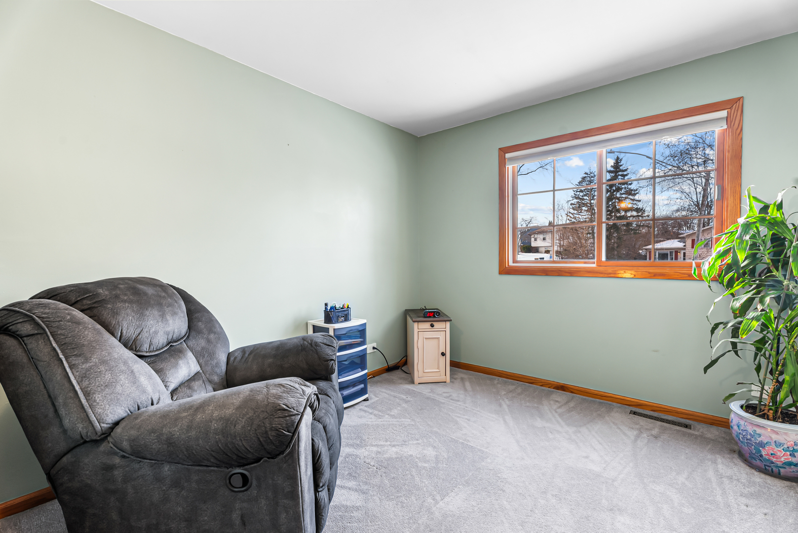325 Hillandale Street Round Lake, IL 60073 - Photo 13 of 31 a living room with furniture and potted plant