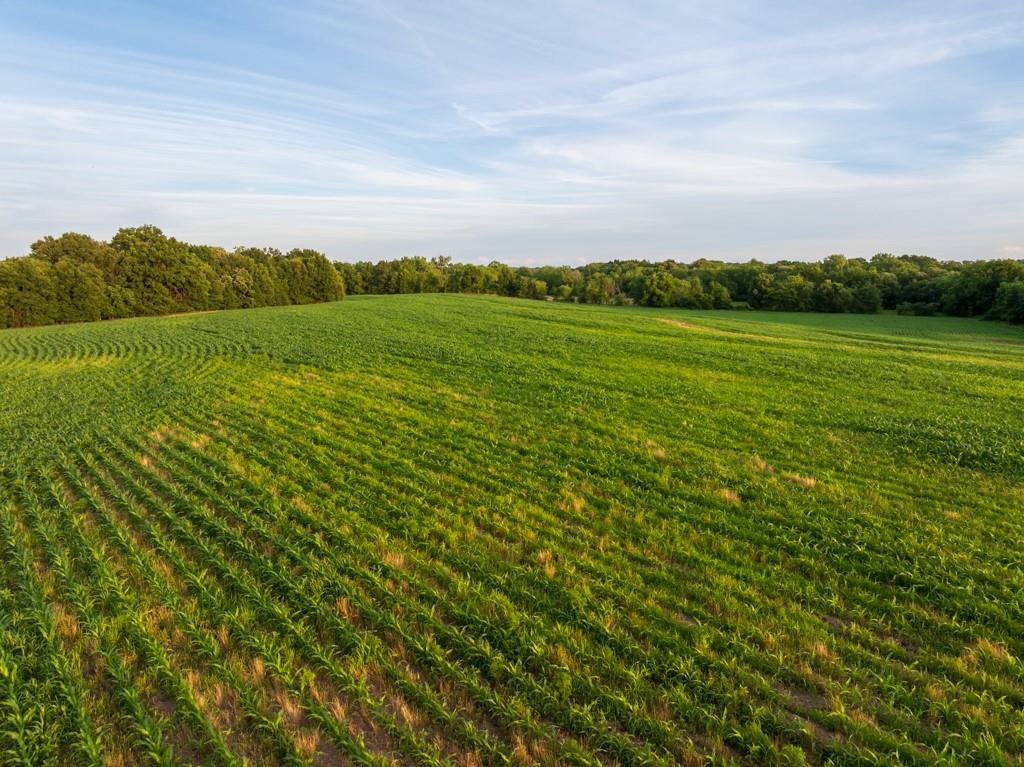 Northeast Marshall Road Hamilton, MO 64644 - Photo 19 of 45
