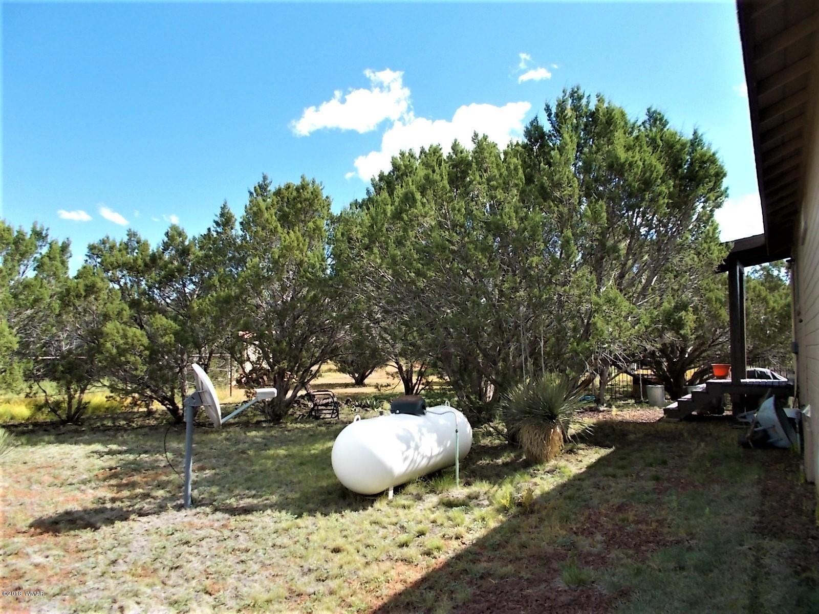 547 Co Road Show Low, AZ 85901 - Photo 19 of 30