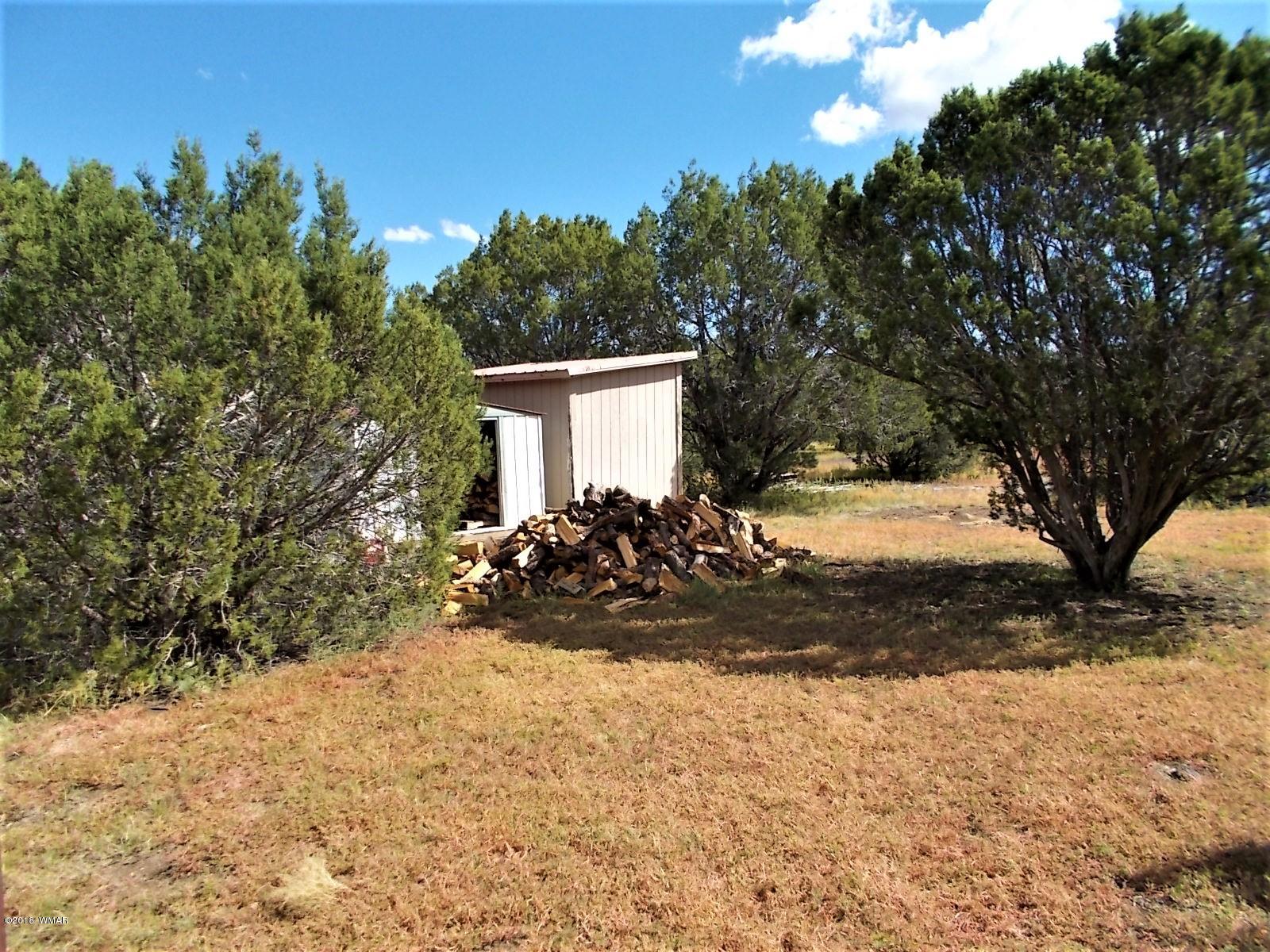 547 Co Road Show Low, AZ 85901 - Photo 25 of 30