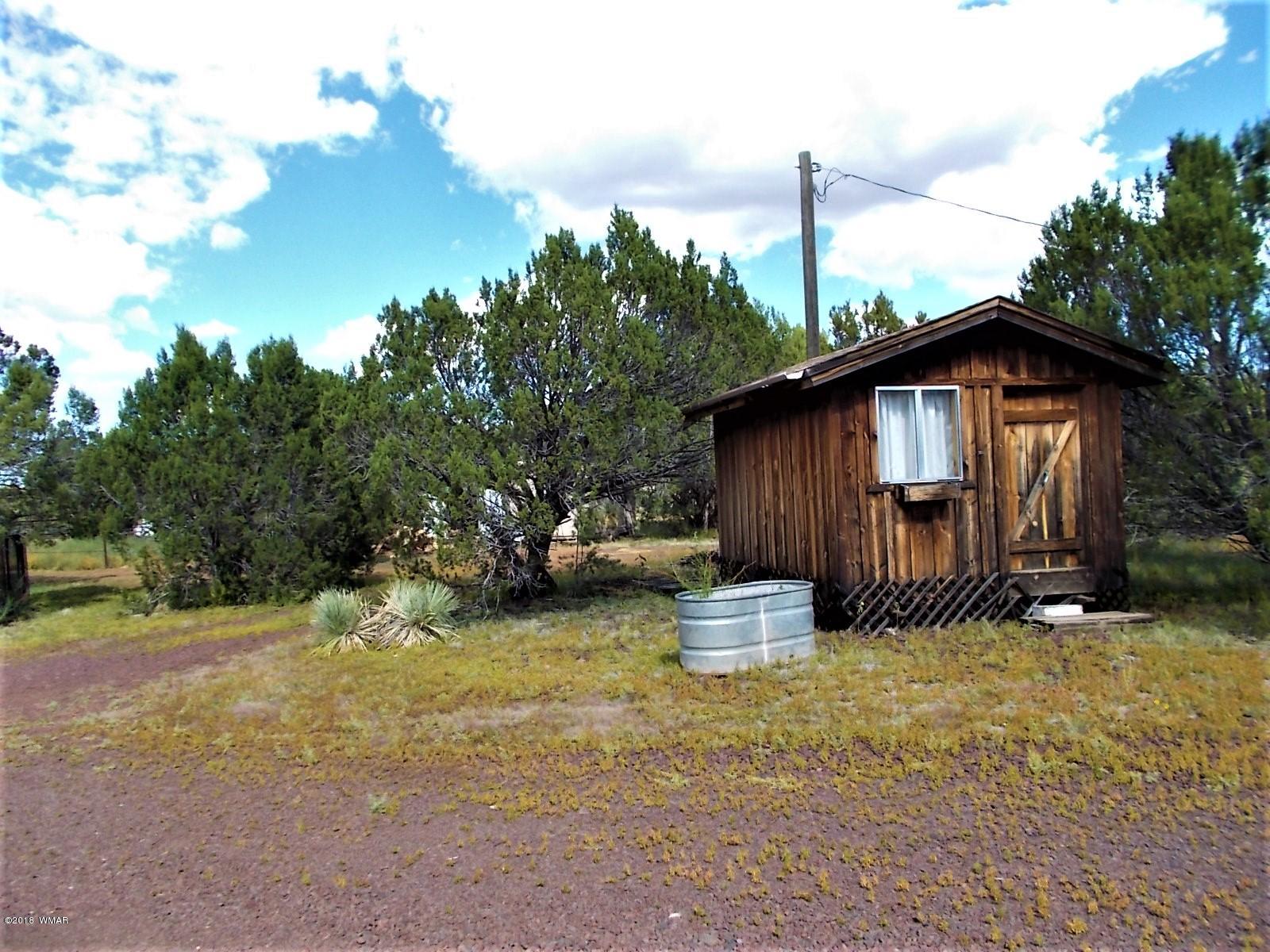 547 Co Road Show Low, AZ 85901 - Photo 26 of 30