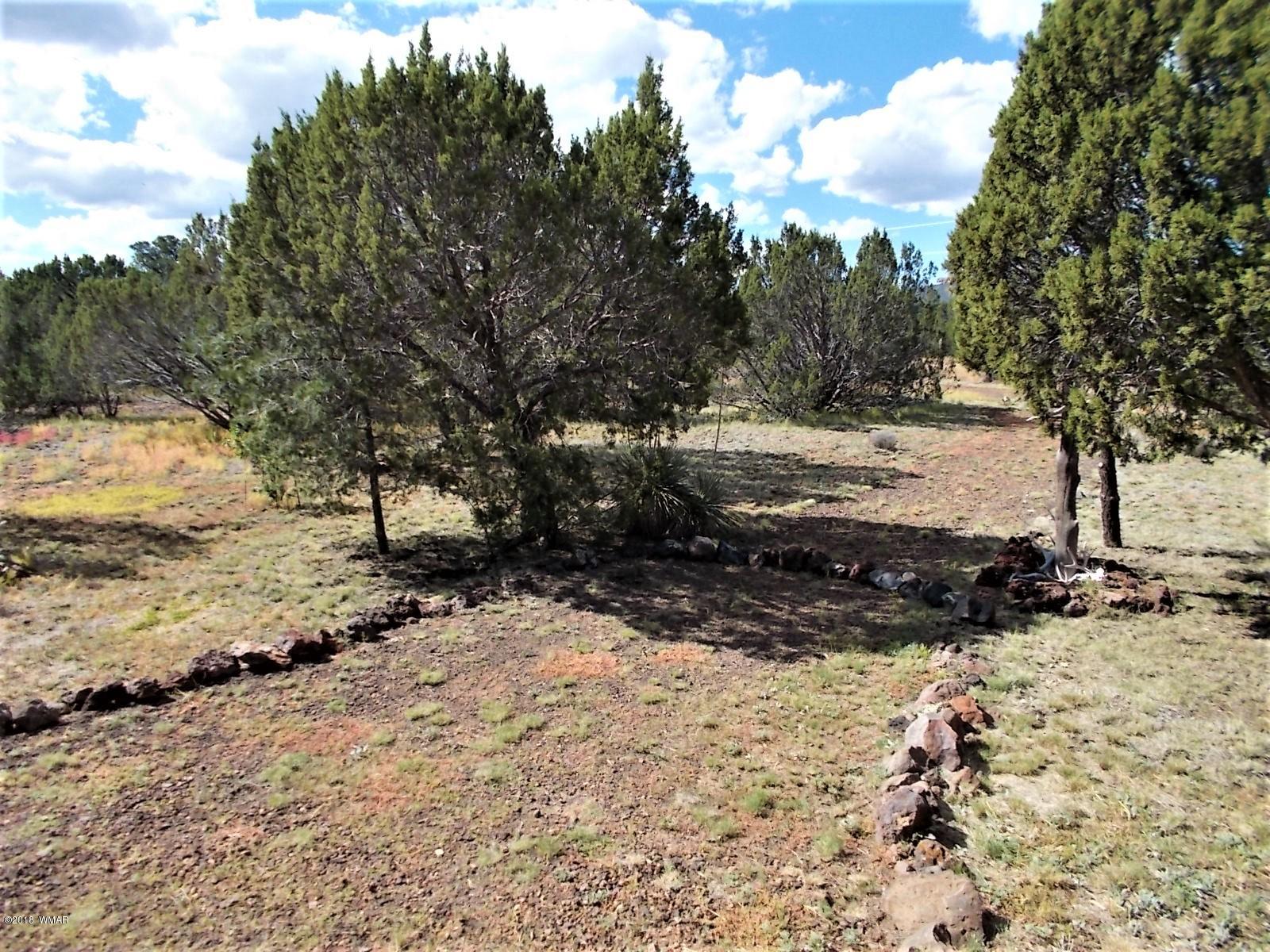 547 Co Road Show Low, AZ 85901 - Photo 27 of 30