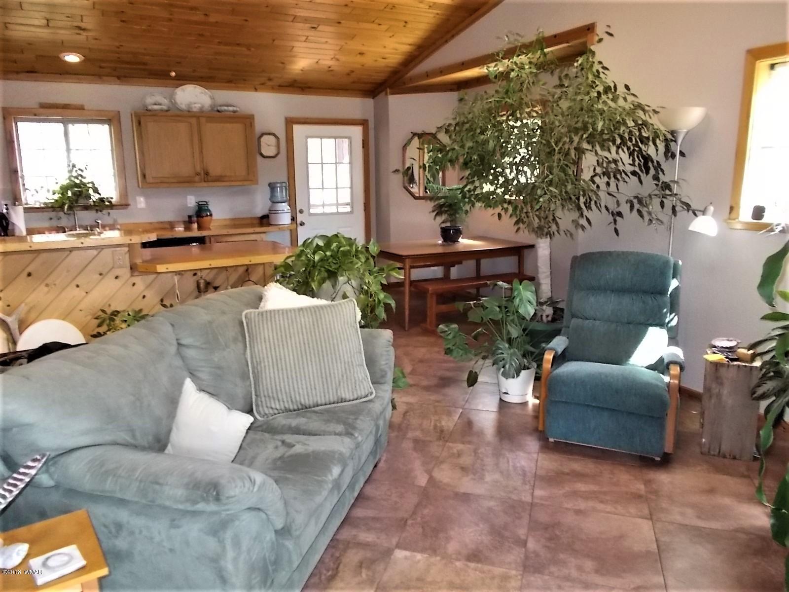 547 Co Road Show Low, AZ 85901 - Photo 4 of 30