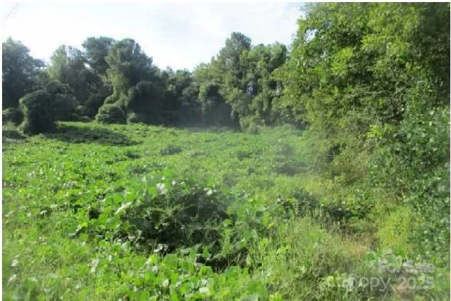 $125,000 | 121 Doc Wehunt Road, Cherryville, NC 28021