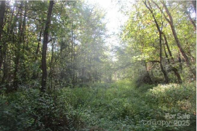 121 Doc Wehunt Road Cherryville, NC 28021 - Photo 2 of 7