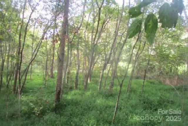 $125,000 | 121 Doc Wehunt Road, Cherryville, NC 28021