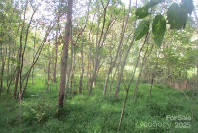 121 Doc Wehunt Road Cherryville, NC 28021 - Photo 4 of 7