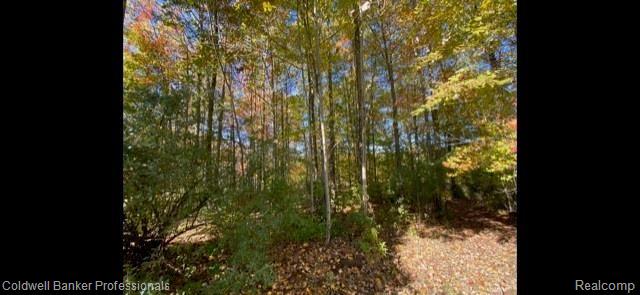 0 Maple Ridge Court Oxford, MI 48371 - Photo 2 of 5