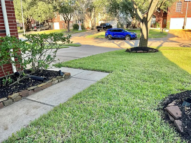 a view of a park with tree s