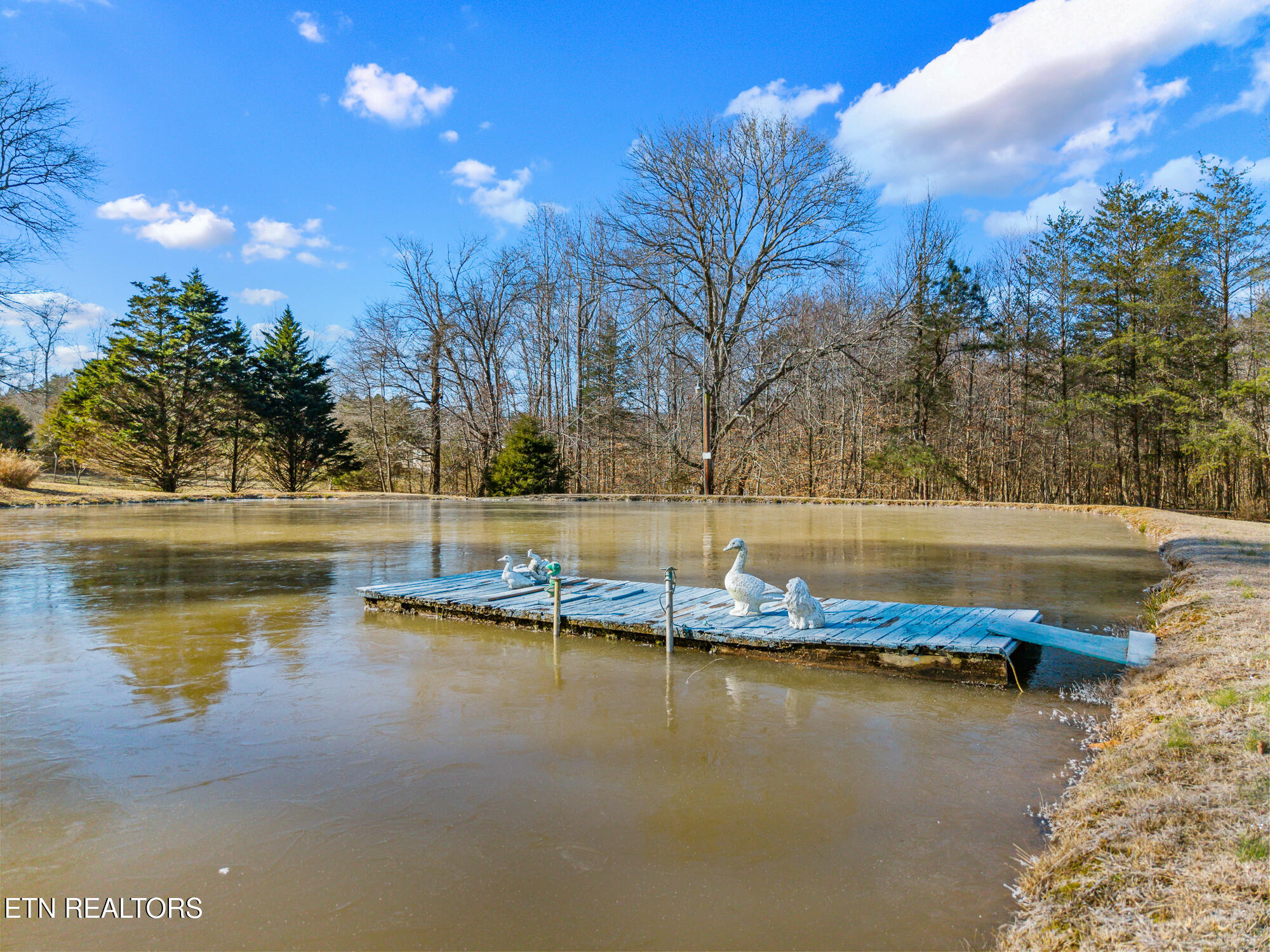 537 County Road 188 Decatur, TN 37322 - Photo 25 of 38 537 Co Rd 188-26