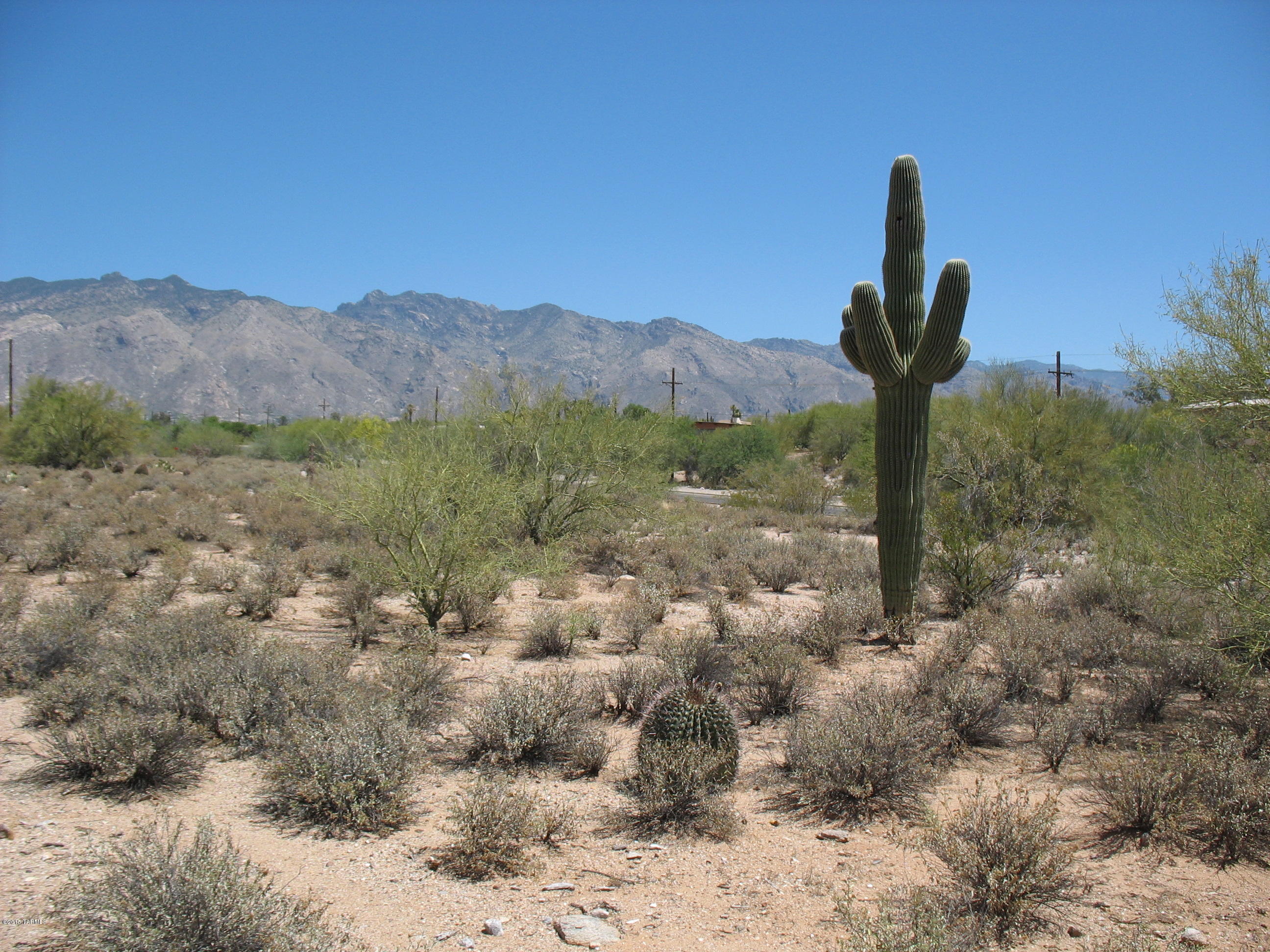 North Swan Road Tucson, AZ 85718 - Photo 3 of 6