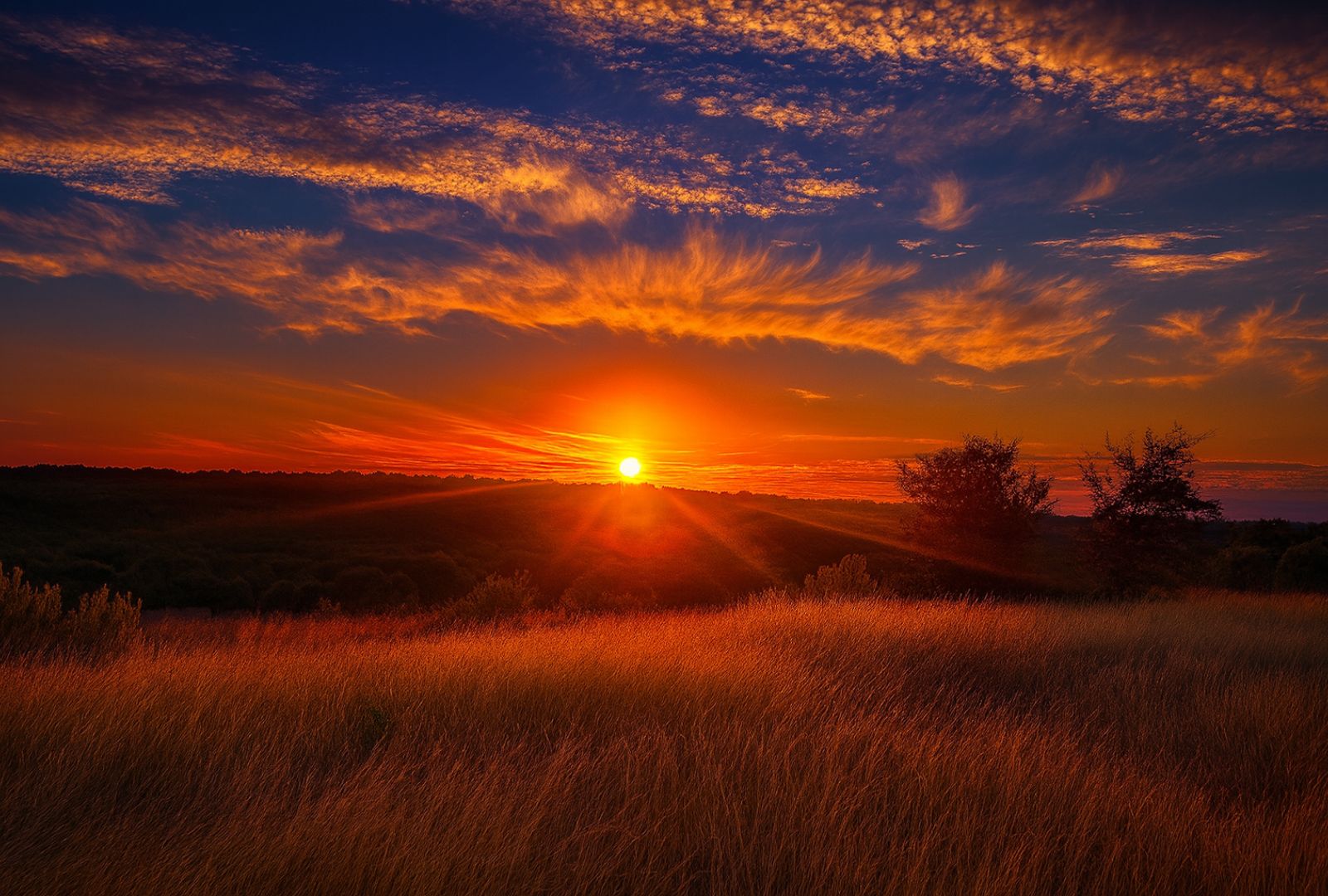 0 Gibson-Best Road Hye, TX 78635 - Photo 2 of 40